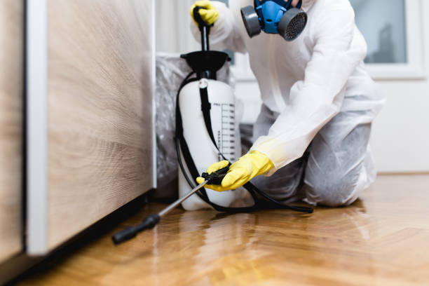 Best Pest Control Treatment  in Richwood, NJ