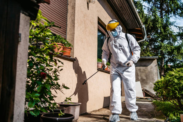 Best Rat Extermination Near Me  in Richwood, NJ