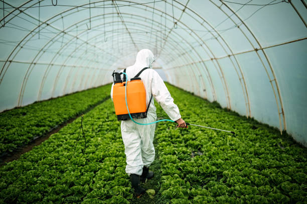Best Residential Pest Control  in Richwood, NJ