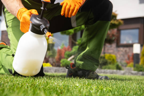 Best Cockroach Control Services  in Richwood, NJ
