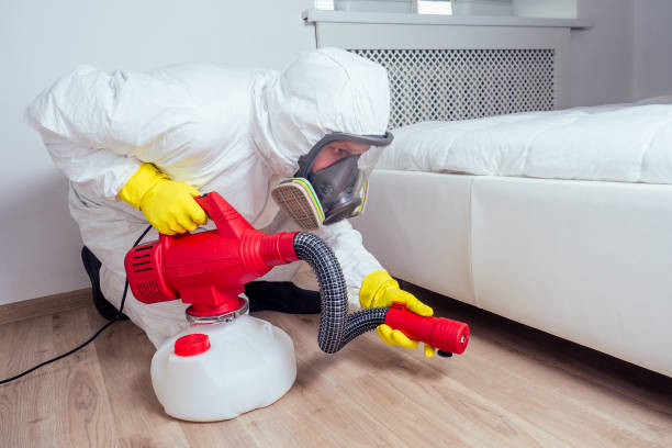 Best Wasp Removal Services  in Richwood, NJ