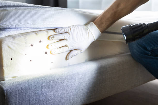 Best Pest Inspection Near Me  in Richwood, NJ