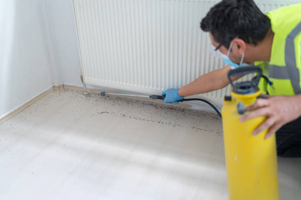 Best Residential Pest Control  in Richwood, NJ