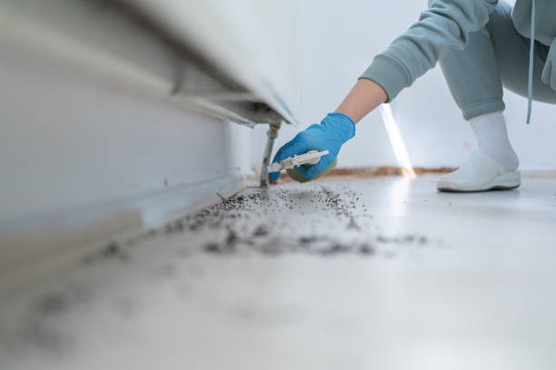 Best Bed Bug Extermination  in Richwood, NJ
