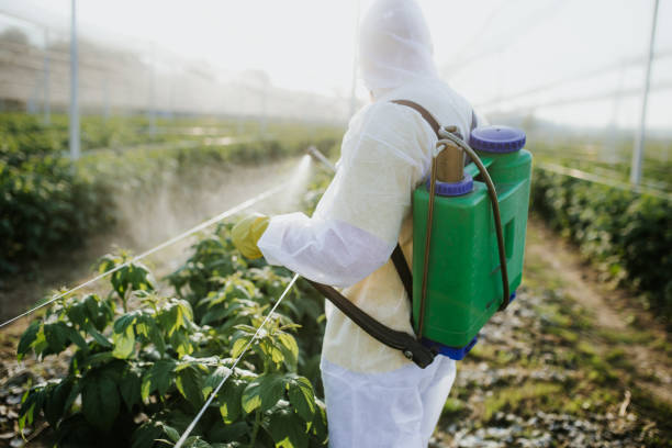 Best Ant Control Services  in Richwood, NJ